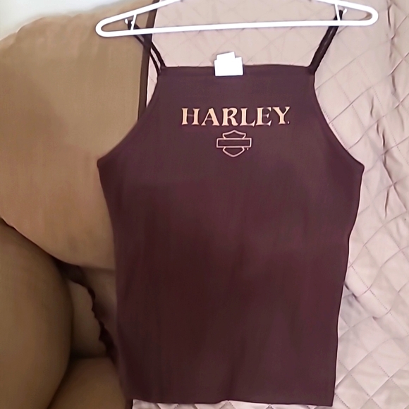 Harley Davidson, large, & brown - Picture 1 of 3